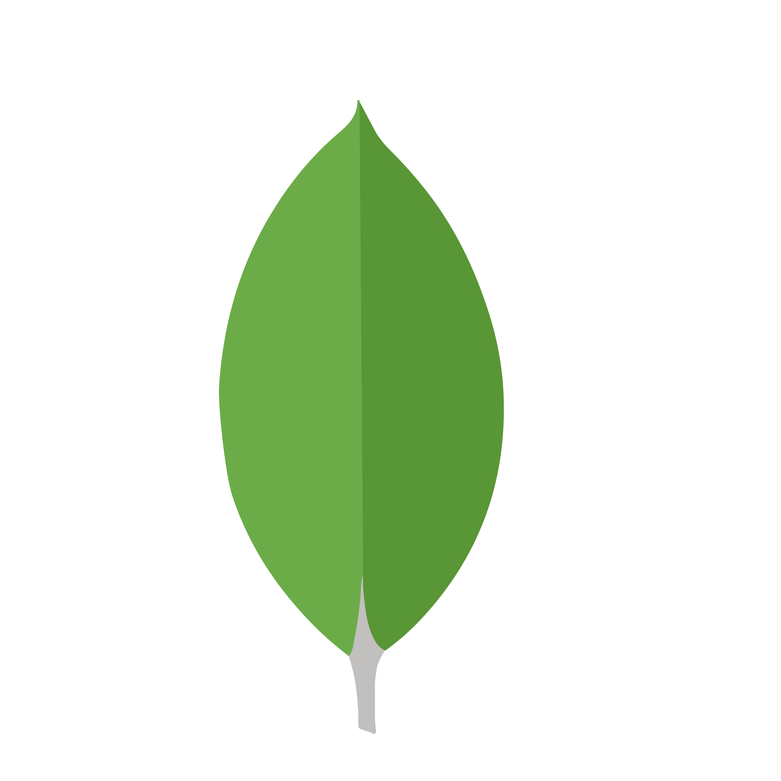../images/mongodb.png